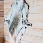 Rukan Tunturituuli * ルカ
