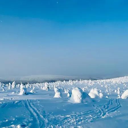 Rukan Tunturituuli Chalet *